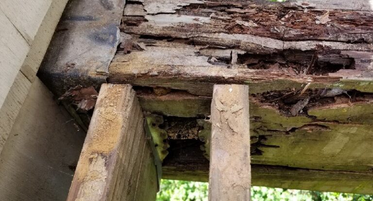 Wood Rot Repair: A DIY Guide For Homeowners